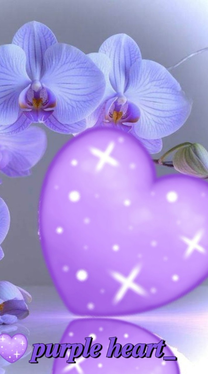 💜🖤☘️25+30+40+คนโสดคนเหงา💜เข้ามาคุยกันพร้อมชมภาพสวยๆค่ะ💜💜