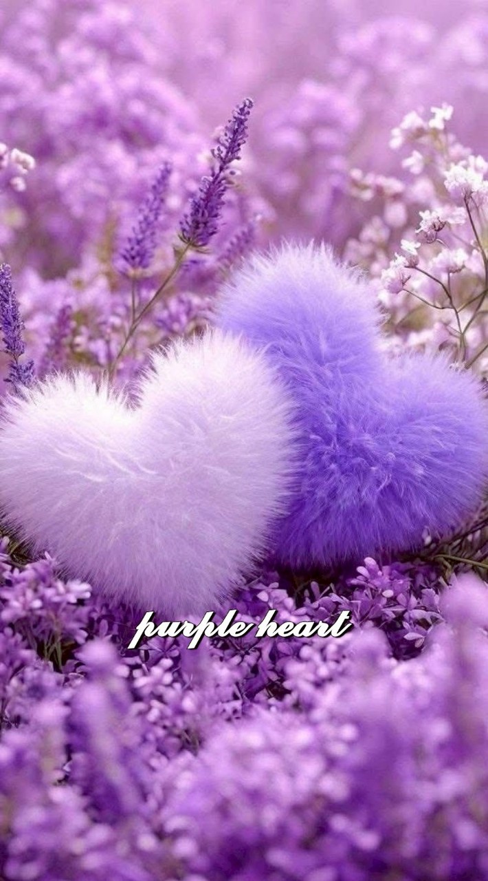 💜🖤25+30++🤍คนโสดเหงา💜เข้ามาคุยกันพร้อมชมภาพสวยฟังเพลงค่ะ