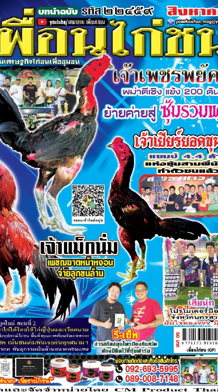 น.เพื่อนไก่ชน2