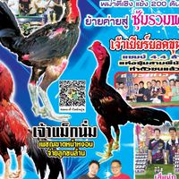 น.เพื่อนไก่ชน2