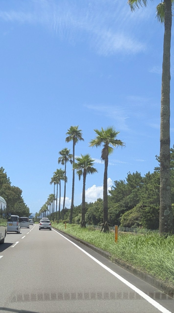 🆕全国🍓🥃🌺🍺🌴 40代50代60代のんびりまったり雑談部屋🍷🍋‍🟩🌺🚗🥩