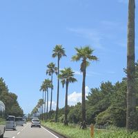 🆕全国🍓🥃🌺🍺🌴 40代50代60代のんびりまったり雑談部屋🍷🍋‍🟩🌺🚗🥩