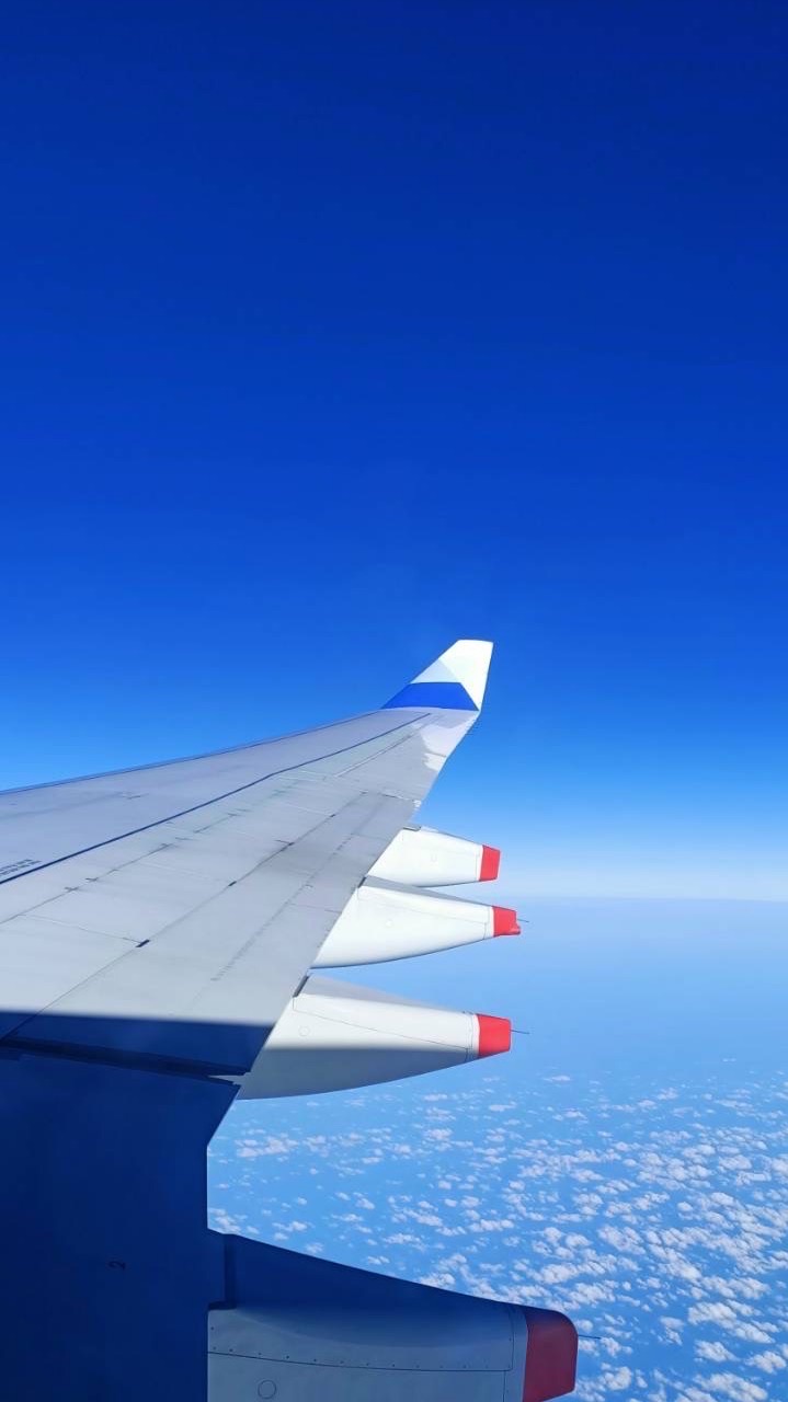 🐱揪揪趣旅遊✈️🌍