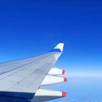 🐱揪揪趣旅遊✈️🌍