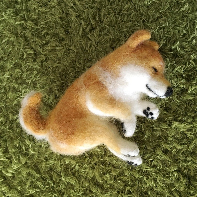 療癒手作羊毛氈，毛小孩睡著的模樣超可愛～動手做一個他吧！