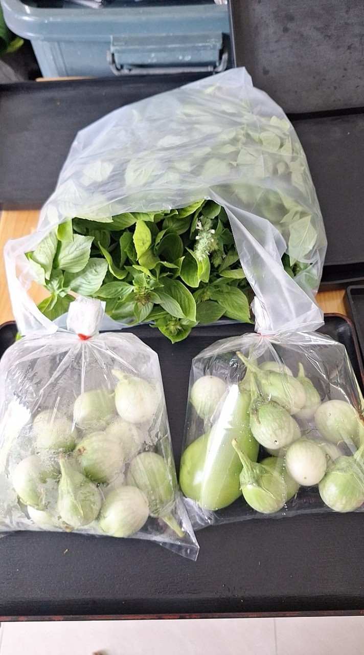 กลุ่มซื้อขายทุกอย่าง พิมลราช บางบัวทอง บางใหญ่ และโซนรอบๆ
