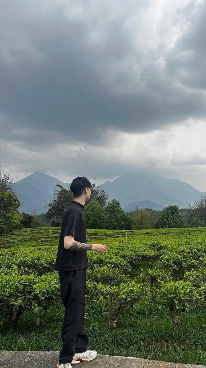 船長想飛