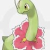 みんなでマヨろう！マヨリータのチャット