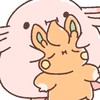ポケカオプ　初心者大歓迎！　旧マヨ