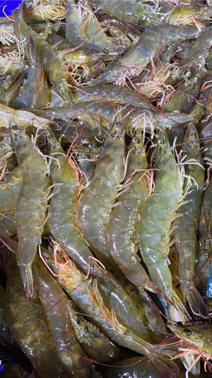 แพกุ้งลิ้มเจริญชัย(เจ้โฉม)อัพเดทราคากุ้ง