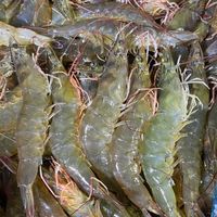 แพกุ้งลิ้มเจริญชัย(เจ้โฉม)อัพเดทราคากุ้ง