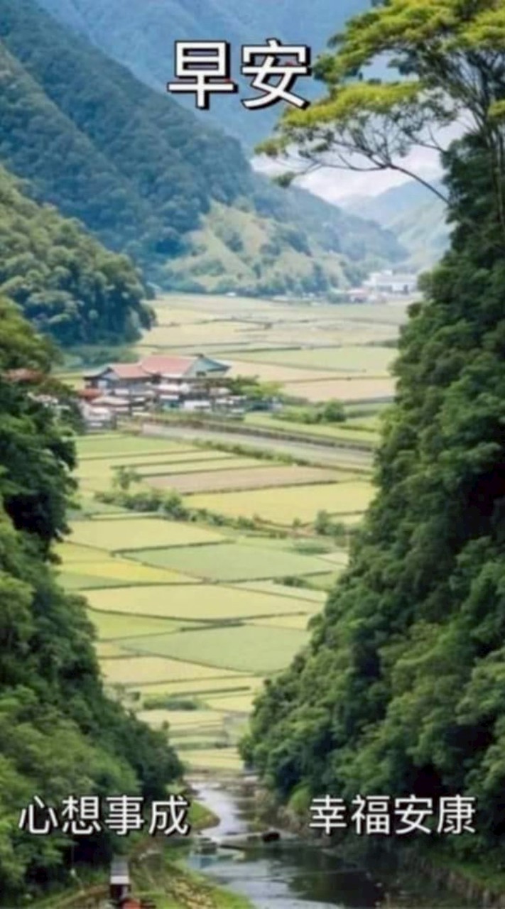 搶救中華民國