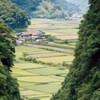 搶救中華民國