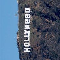 hollyweed.thailand