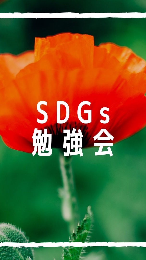 大学生のためのSDGs勉強会🌟Necom.SDGs