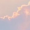 構ってくださいッ