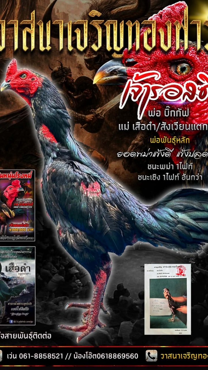 วาสนาเจริญทอง ฟาร์ม