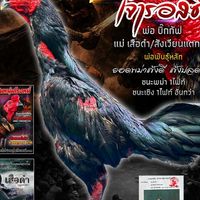 วาสนาเจริญทอง ฟาร์ม
