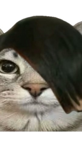 ปิงปอง เหลือง 69