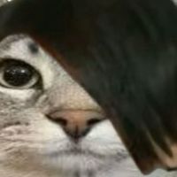 ปิงปอง เหลือง 69