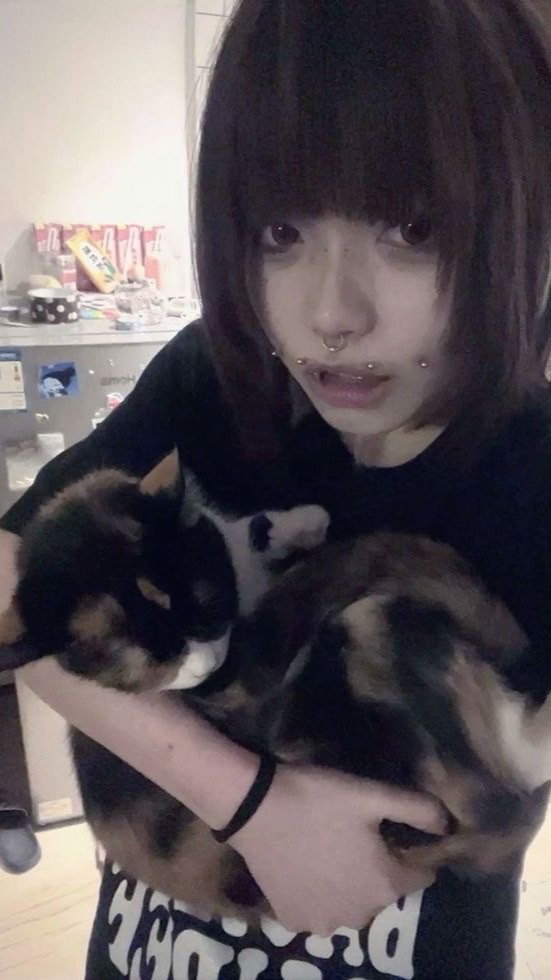 猫田のスーパーたのしいオプ