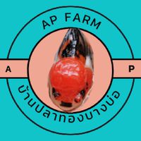ประมูลปลาทอง/บ้านปลาทองบางบ่อ