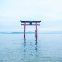 信長之野望Online 電腦版