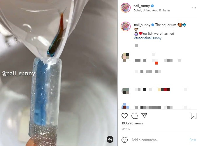 生きた魚を指先に使ったネイルサロンに 動物虐待 と非難殺到 露