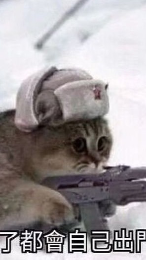 貓貓都會自己打獵