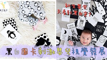 黑白圖卡刺激嬰兒視覺發展？一張卡就讓嬰兒集中看你✔