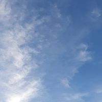 全國藥師藥團結互聯網