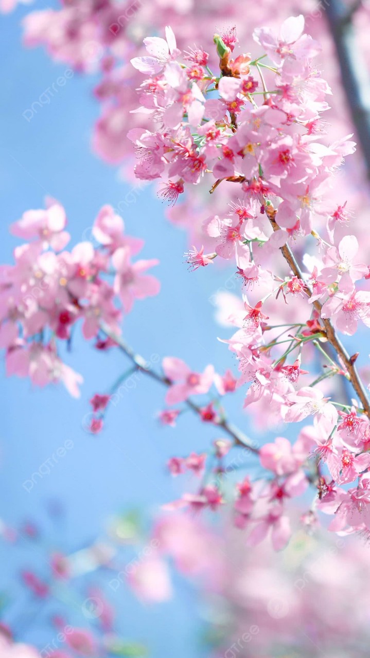 🌸3月マニアック講座🌸