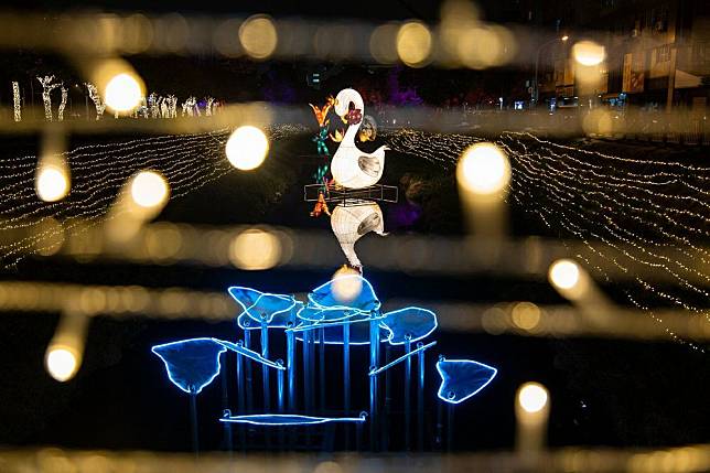 每晚從5點30分至晚間10點嬌豔綻放，陪伴大家一起歡度繽紛的中國年。(圖片提供：屏東縣政府)