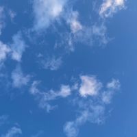 54回🌱実行委員会