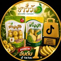 VIP แอฟฟิลิเอต แบรนด์ชาววัง