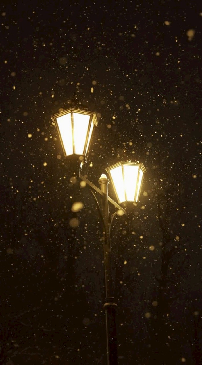 沫雪︰文豪ハント