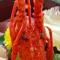 PayPay配布➕友作り
