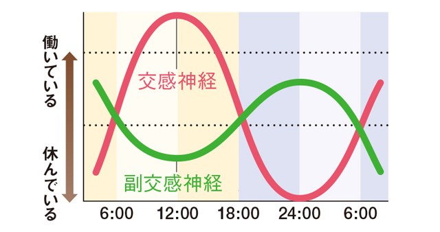 若返るためにもバランスが大切 自律神経 の基礎知識