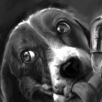 真剣に絵を描くオプチャ