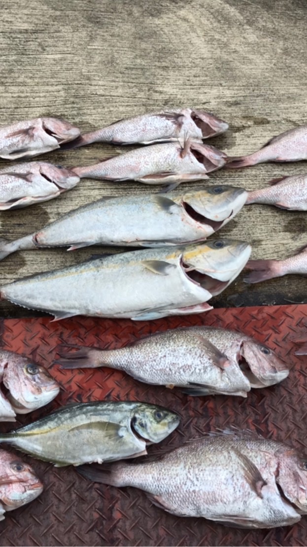 海上釣堀みん釣り(メインルーム)