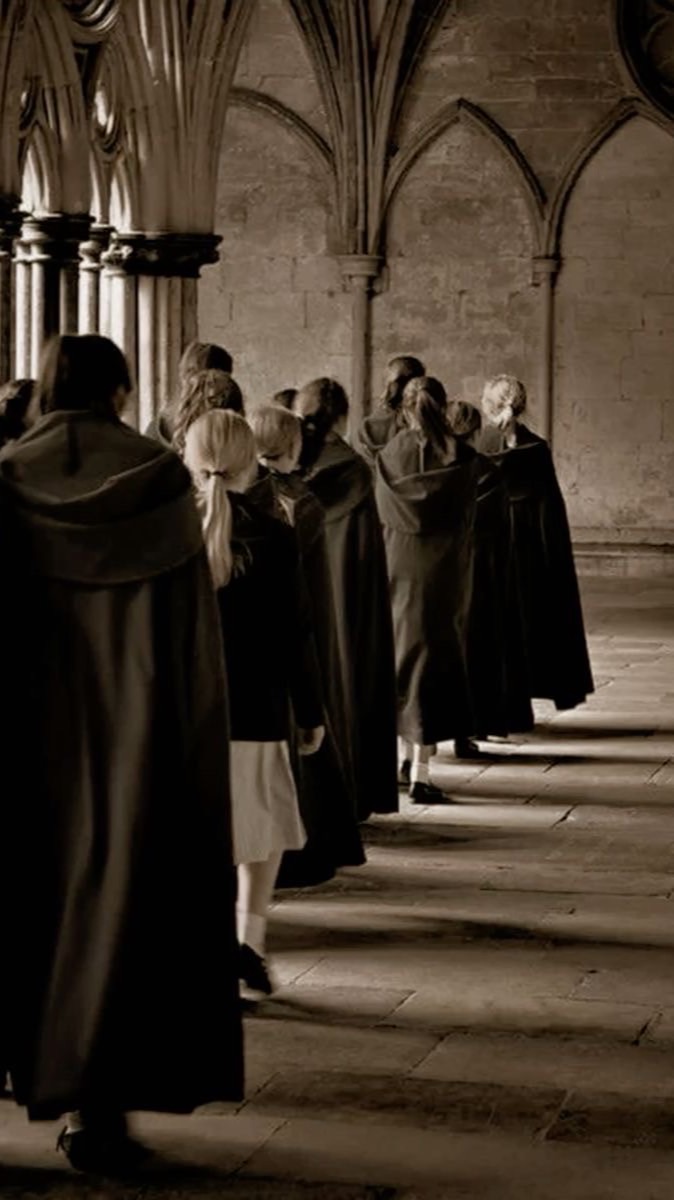 Harry potter (RP) .