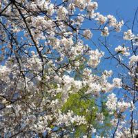 大学1年生からの就職活動