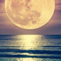 🌕満月のフォーチュン- ̗̀🌙  ̖́-               50代、60代雑談ℝ𝕠𝕠𝕞