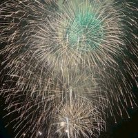 警笛を愛しましょう