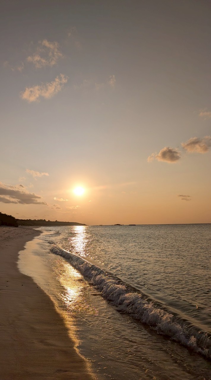 べすま映画プロジェクト✨