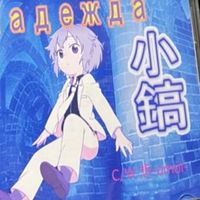 コシノギスト