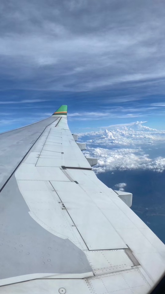 小鈴旅行翻轉樂✈️