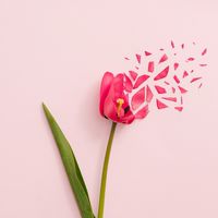 Diana-😝聊天後花園🌺（飲食）