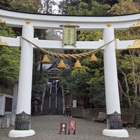 ​【ダンディ先生】世界情勢を読むサロン(投資の攻守)