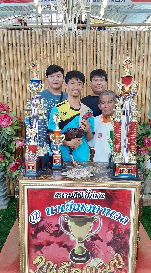 ไก่เก่งภูธร